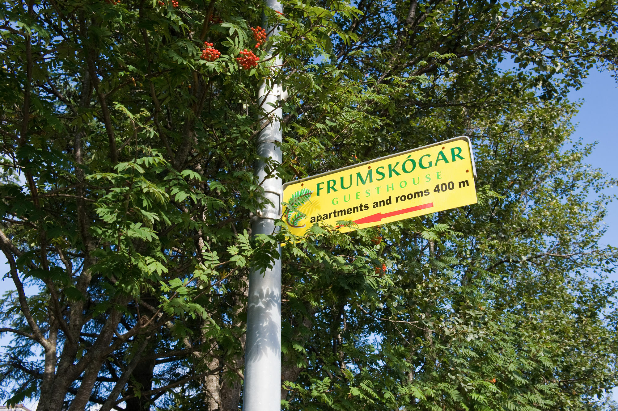 הוואגרדי Frumskogar Guesthouse & Apartments מראה חיצוני תמונה